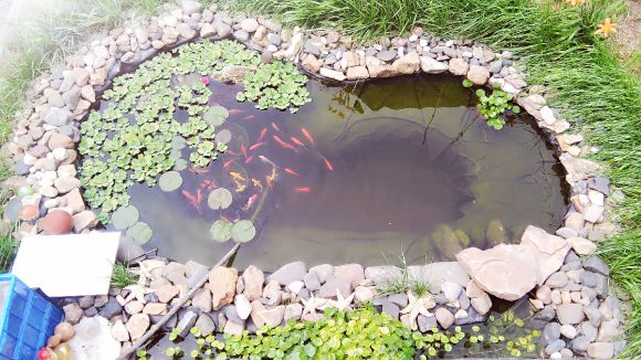 嘉海HDPE魚(yú)塘防滲膜