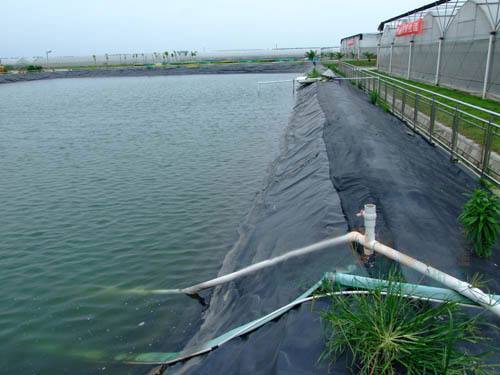 嘉海HDPE魚(yú)塘防滲膜